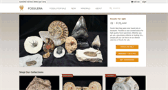 Desktop Screenshot of fossilera.com
