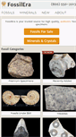 Mobile Screenshot of fossilera.com